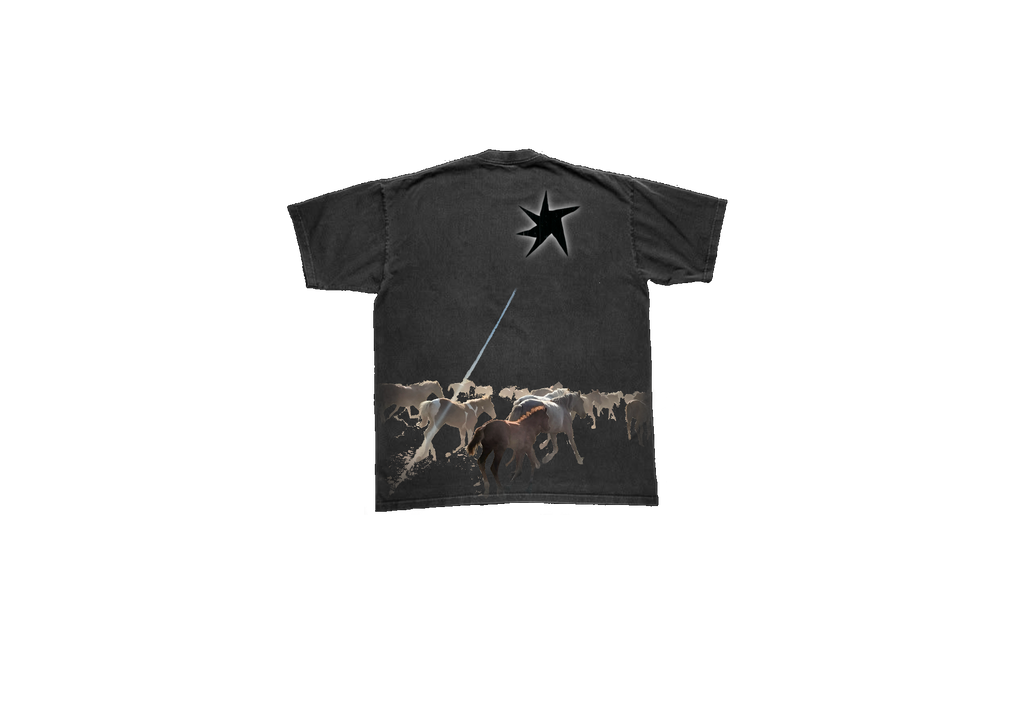 horses don't stop they keep going